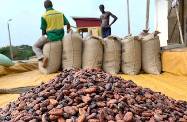 cocoa